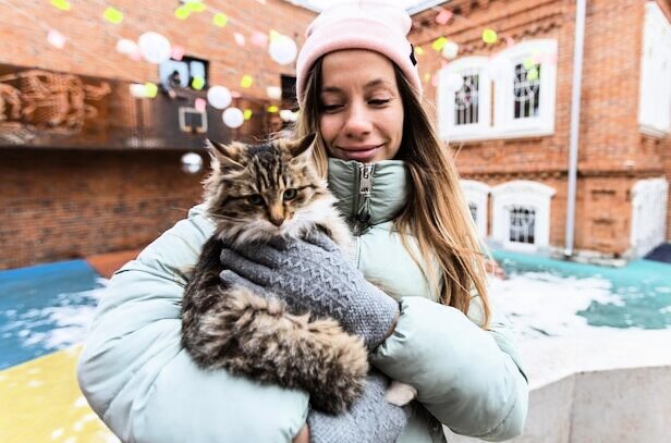 День уважения кошки