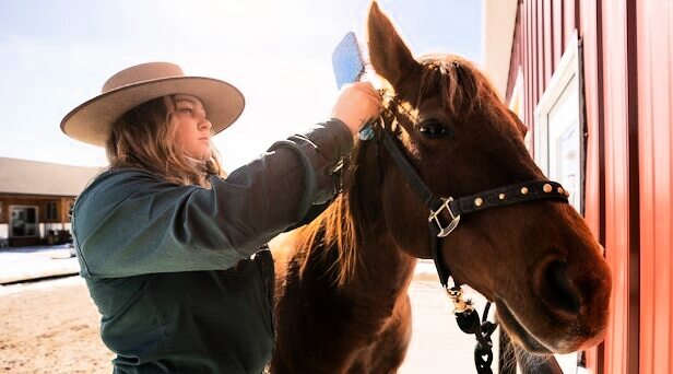 День «Pony Express» 3 апреля 2