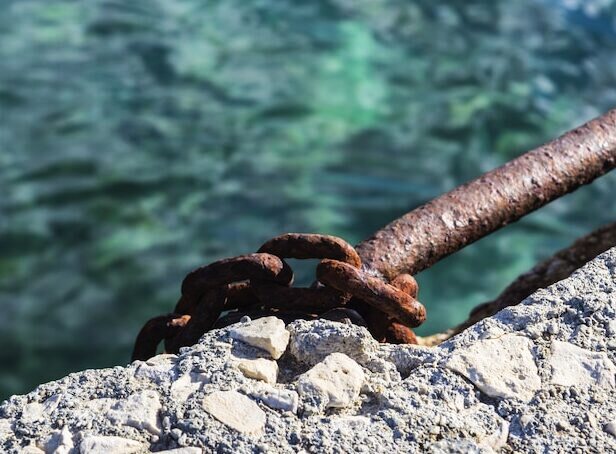 День морской змеи ( National Sea Serpent Day) 25 сентября 3