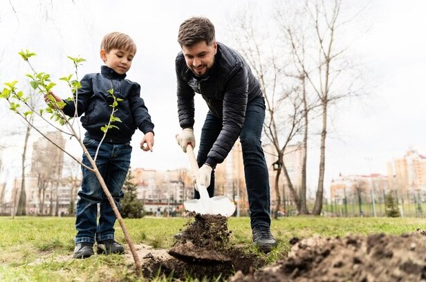 День посадки деревьев 25 сентября 3