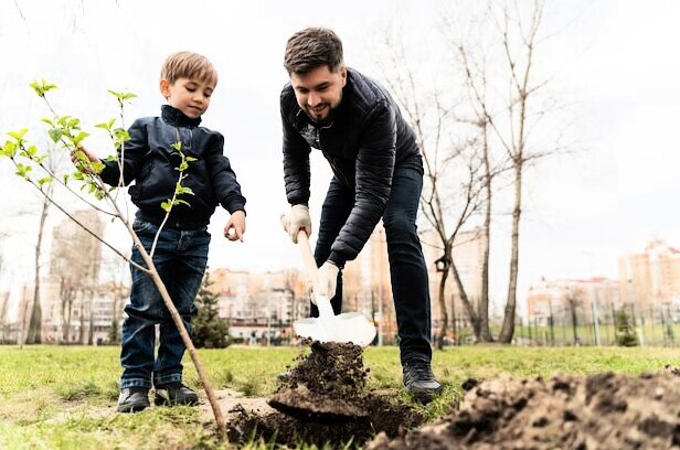 День посадки деревьев 27 сентября 1