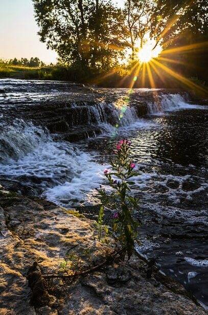 День высыхания Ниагарского водопада 28 сентября 2