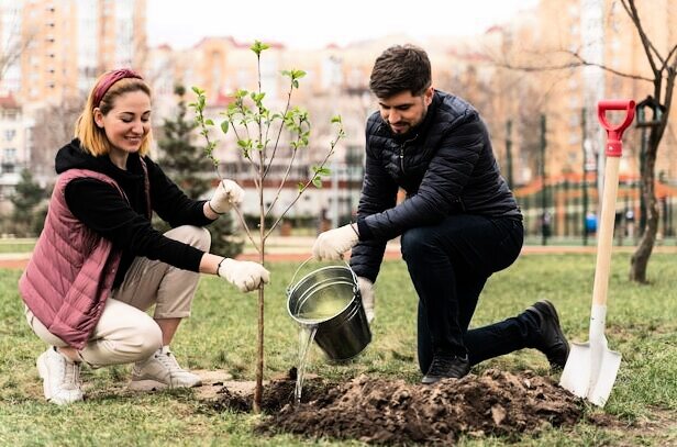 День посадки деревьев 7 декабря 2